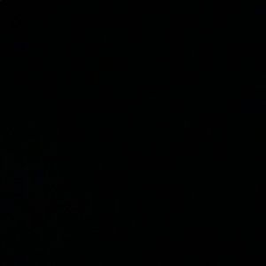 Meet your Posher, Wydell